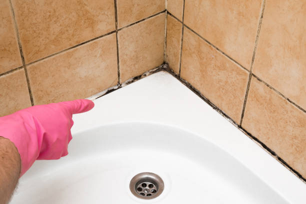 Best Fast Mold Removal  in Sparks, GA